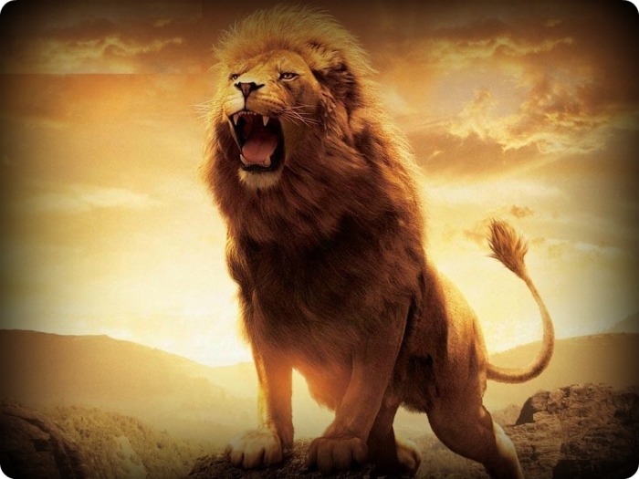 lion-roar